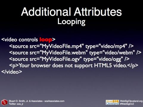 Loop HTML5 Video code sample