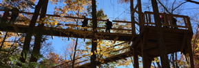 Fall Fun! Pumpkinville and Holden Arboretum's new Canopy Walk & Tower!