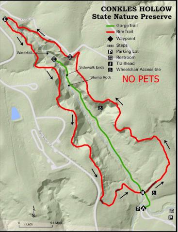 Conkles Hollow State Nature Preserve offers two traditional trails; one is handicapped-accessible. No pets are permitted in the nature preserve.