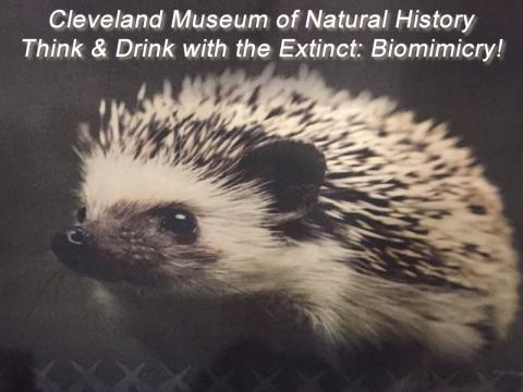 Cleveland Museum of Natural History's Think & Drink with the Extinct: Biomimicry!